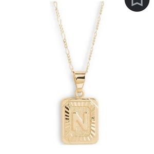 Bluumoon collection N initial necklace